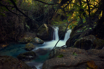 Lush forest with a river flowing into the two little cascades and  mightily between stones. Long...