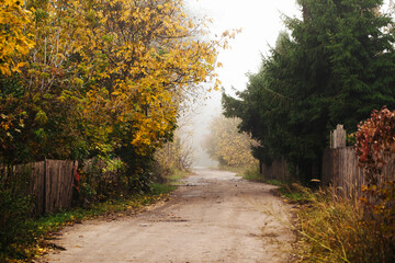 Autumn landscape. Foggy day background. Sand village road. Rainy day. Small village in Poland...