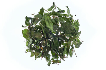 Dried mint leaves isolated on a white background. Used in calming tea, traditional medicine, and homeopathic remedies.