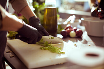 Chef Precisely Chopping Fresh Vegetables in a Kitchen