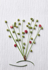 Abstract arrangement with pine needles and berries