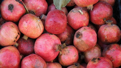 Natural pomegranates freshly picked from the branch