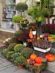 Fototapeta na wymiar pumpkins and flowers on the doorstep