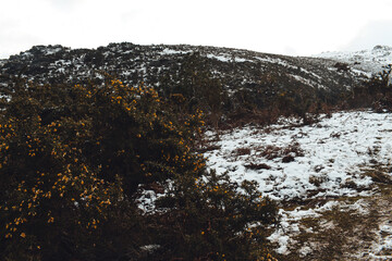 La Rhune enneig&eacute;e 