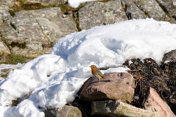La Rhune enneig&eacute;e 