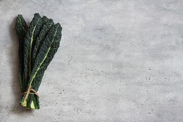 Fresh leaves of tuscan black cabbage or cavolo nero or lacinato kale on a gray textured background - obrazy, fototapety, plakaty