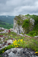 Selective focus on rocky cliff called Rosomacki vrh (Rosomac peak) with colorful, out of focus flowers in the foreground, under a moody sky - 671245302