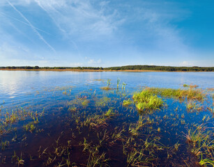 Summer rushy lake view with some plants on water surface