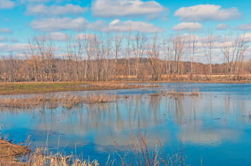 Calm Waters in Quiet Wildlife Refuge