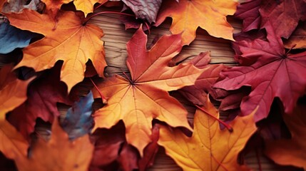 Naklejka na ściany i meble Autumn leaves lying on the floor 