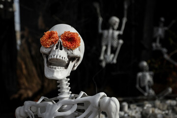 Human skeleton model with flowers in the eyes at a Halloween fest