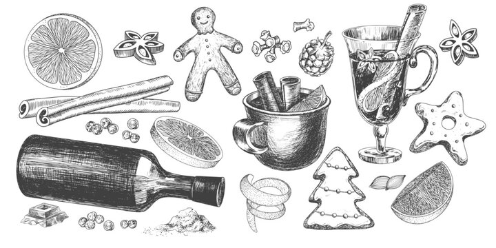 Set of Christmas hot drinks and sweets. Engraving style glasses of mulled wine. Gingerbread man, star, Christmas tree. Sketch style set of ingredients for mulled wine. Cinnamon, orange, wine bottle