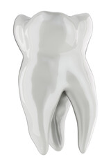 Human tooth, 3D rendering isolated on transparent background