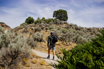 A young man with black backpack in gray shorts and a green hoodie walks among the red canyons on a...