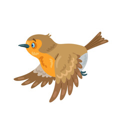 Small robin bird is flying. In cartoon style. Isolated on white background. Vector flat illustration.