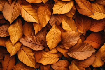 A close up view of a bunch of leaves. This image can be used to depict nature, foliage, or the changing seasons.