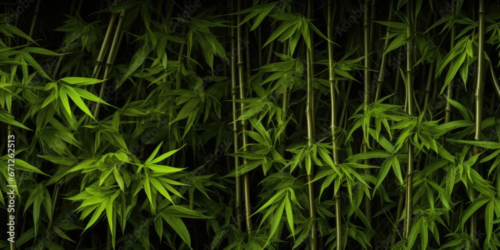 Poster a collection of vibrant green bamboo plants arranged in a room. perfect for adding a touch of nature