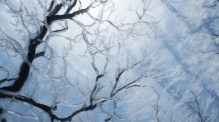  the branches of a tree with no leaves are seen through the windshield of a car on a cold winter day.  generative ai