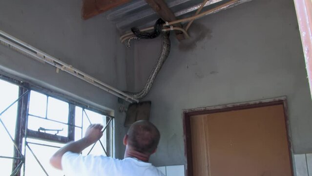 man with a shovel trying to catch and safely remove and relocate african rock python hiding in the corner of the room at a farm in Botswana
