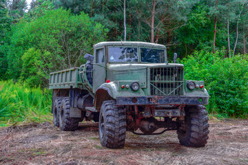 Stara, zdezelowana ciężarówka stojąca w sosnowym lesie. Karoseria kabiny jest koloru zielonego.