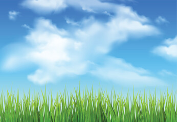 Fototapeta na wymiar Blue sky with clouds ans grass, nature background. Vector illustrator.