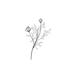 black and white flowers