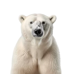Foto op Canvas Polar bear on transparent background © feng