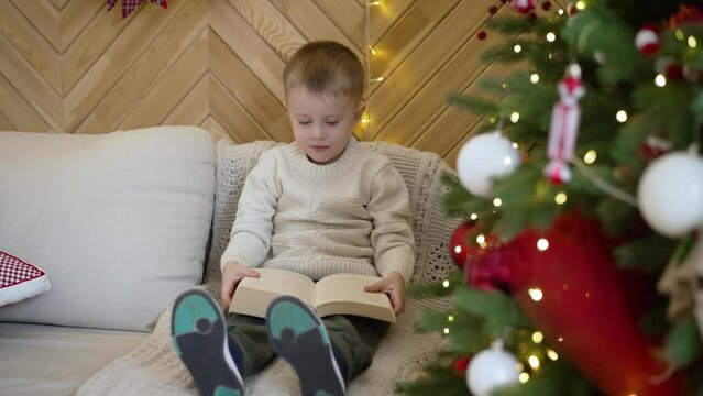 New Year's mood, a child with a book near the Christmas tree. A boy near a Christmas tree with his book of fairy tales. A little boy reads a book while sitting on the sofa near the New Year tree.