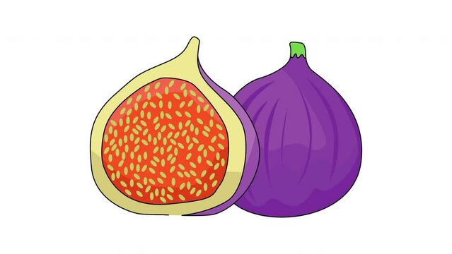 Animation forms a fig icon