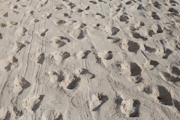 Beach sand texture for background. Footprints in the sand