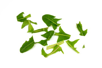 Chopped dandelion leaves ready for salad isolated on white background.