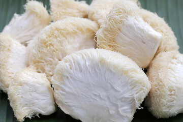 Fresh lion's mane mushroom on banana leaf. (Yamabushitake Mushroom)