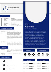 professional resume design, cv design