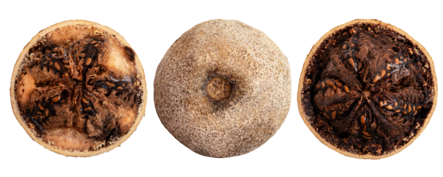 Elephant apple or Limonia acidissima fruits on transparent background.