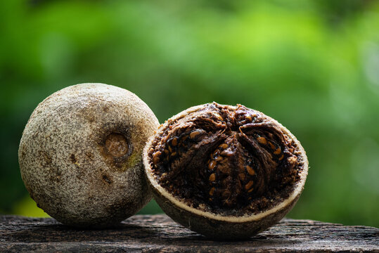 Elephant apple or Limonia acidissima fruits on natural background.