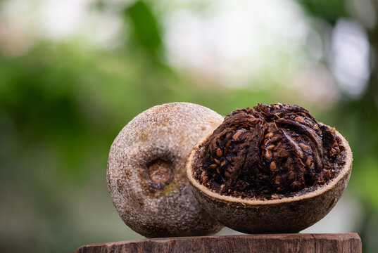 Elephant apple or Limonia acidissima fruits on natural background.