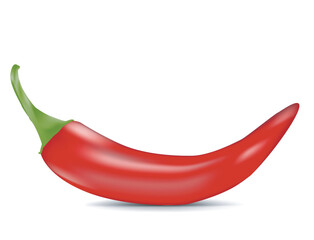 Chili pepper isolated on a white background. Vector illustration