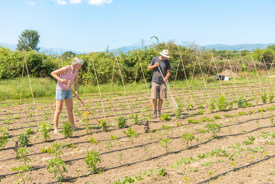 Couple tilling a field on sunny day