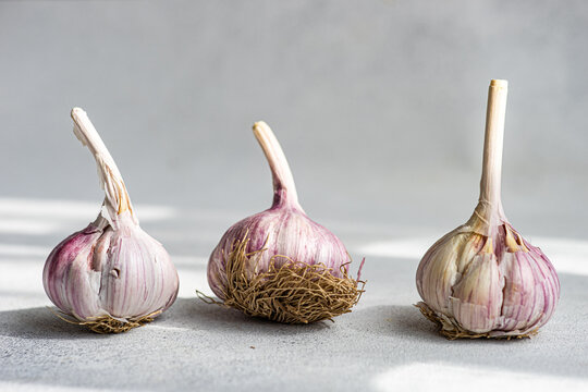Detailed garlic bulbs close-up