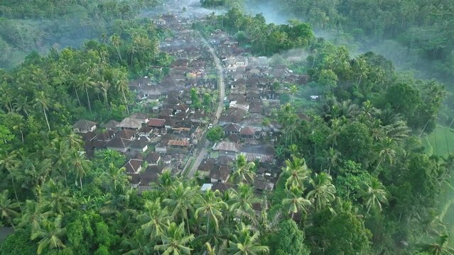 2023 - Excellent aerial footage of a village nestled among palm trees in a misty valley of ubi.