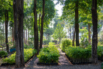 Green open spaces filled with trees and ornamental plants