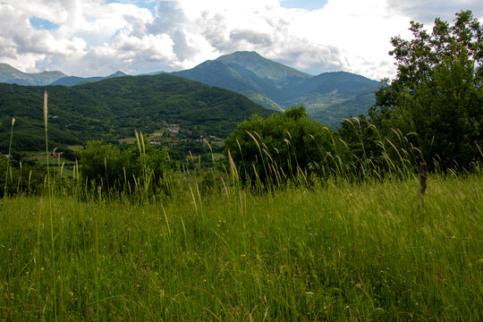 View from a distance with a mountain poth called Karavoula and a green meadow with wild wheat and grass.