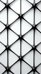 black complex vivid (UHD Wallpaper)