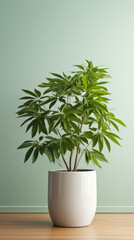 A potted plant sitting on top of a wooden table