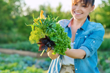 Greens, spicy herbs in hands of woman close-up in vegetable garden, farm © Valerii Honcharuk