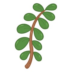 green leaves isolated on white background