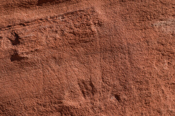 Closeup of red rock texture at Valley of Fire State Park in Moapa Valley, Nevada.
