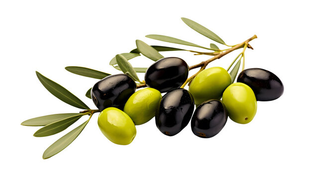 Olives on transparent background