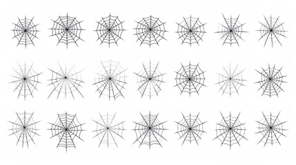 Vector Set of spider web on white