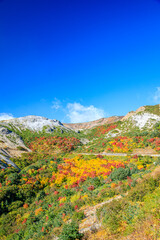 秋の磐梯吾妻スカイライン　かもしか沢　福島県福島市　Bandai Azuma skyline in autumn. Fukushima Pref, Fukushima City.